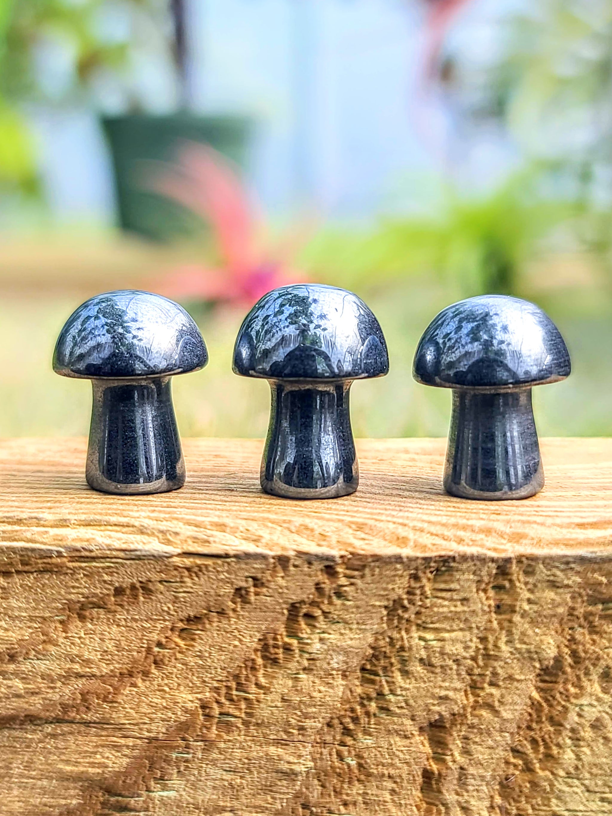 Mini Hematite Crystal Mushroom - TheDrunkenGnome Airplant Co.